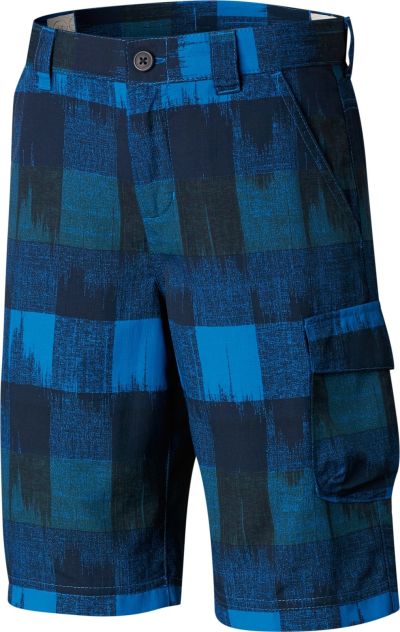 Шорти Silver Ridge Printed Short