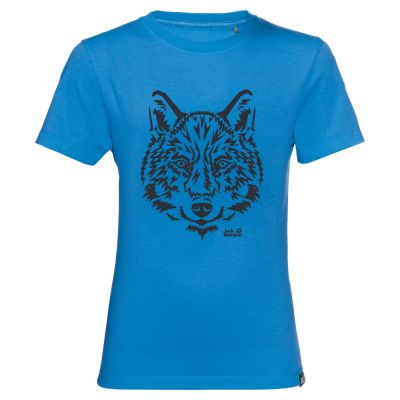 Футболка BRAND T KIDS