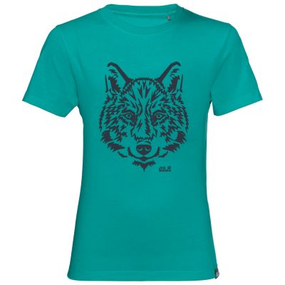 Футболка BRAND T KIDS