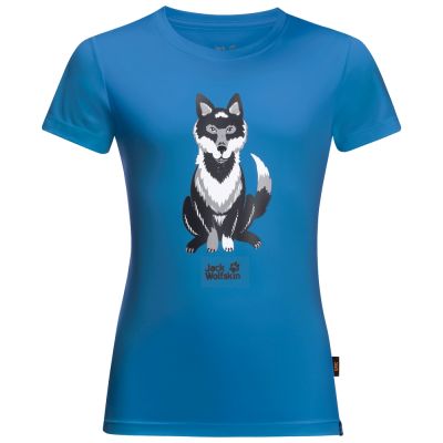 Футболка WOLF T KIDS
