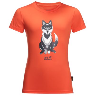 Футболка WOLF T KIDS
