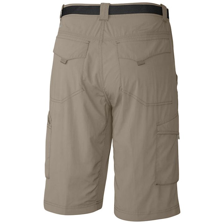 Шорти Silver Ridge Cargo Short